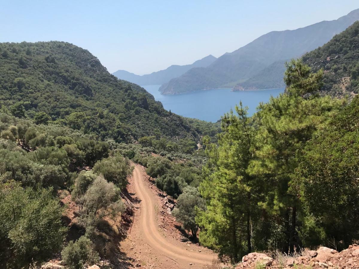 Dalyan Paradise - Haus Sophie Villa Dış mekan fotoğraf